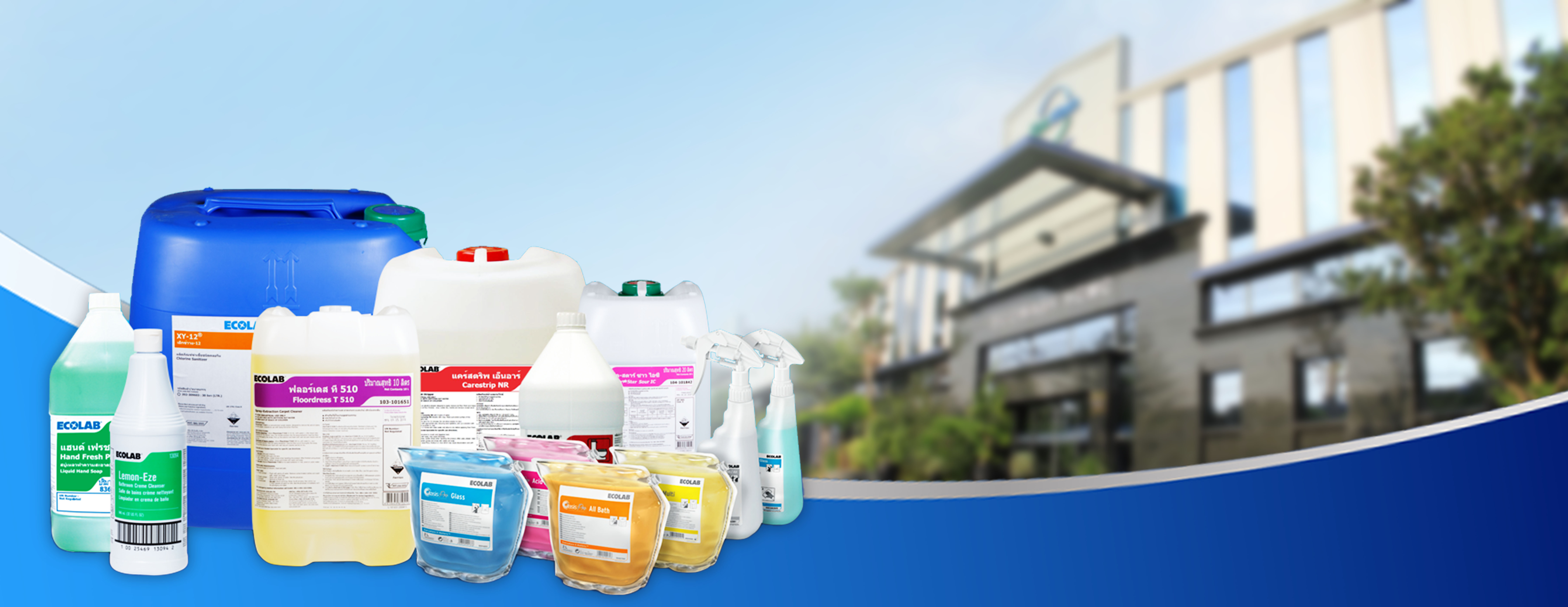 EcoWash HCMC Xây Dựng Văn Hóa Doanh Nghiệp Và Thúc Đẩy Ý Thức Bảo Vệ Môi Trường